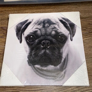 Black and white Dog canvas picture